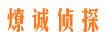 岚县市调查公司